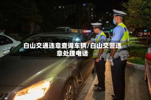 白山交通违章查询车辆/白山交警违章处理电话-第3张图片