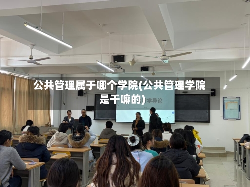 公共管理属于哪个学院(公共管理学院是干嘛的)-第3张图片
