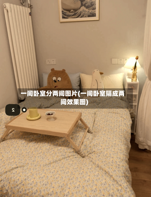 一间卧室分两间图片(一间卧室隔成两间效果图)