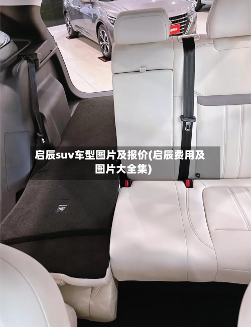 启辰suv车型图片及报价(启辰费用及图片大全集)-第3张图片