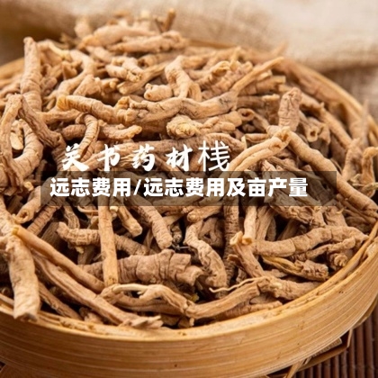 远志费用/远志费用及亩产量