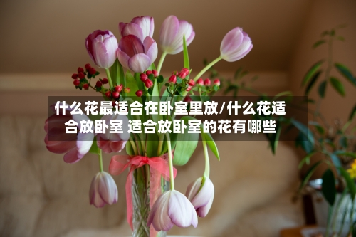 什么花最适合在卧室里放/什么花适合放卧室 适合放卧室的花有哪些-第3张图片