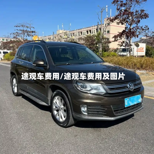途观车费用/途观车费用及图片