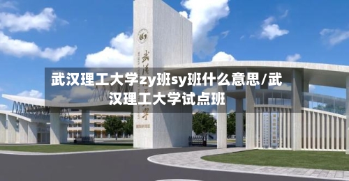 武汉理工大学zy班sy班什么意思/武汉理工大学试点班
