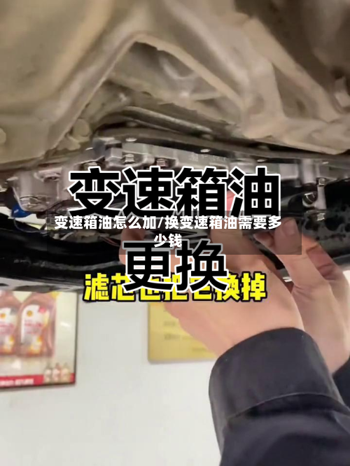 变速箱油怎么加/换变速箱油需要多少钱