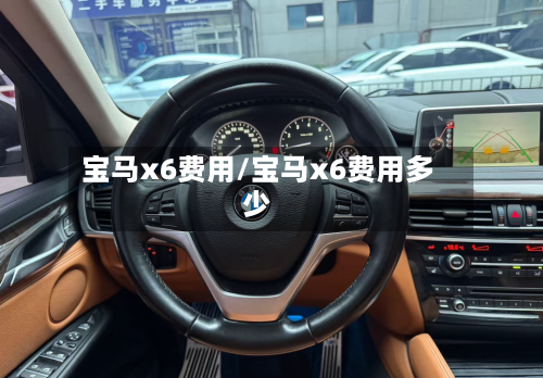 宝马x6费用/宝马x6费用多少-第2张图片
