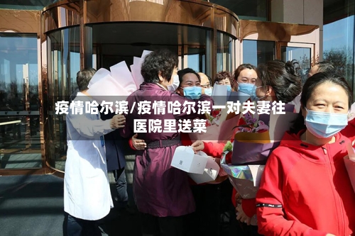 疫情哈尔滨/疫情哈尔滨一对夫妻往医院里送菜