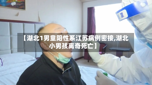【湖北1男童阳性系江苏病例密接,湖北小男孩离奇死亡】-第2张图片