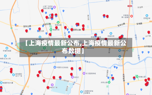【上海疫情最新公布,上海疫情最新公布数据】-第2张图片