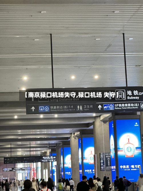 【南京禄口机场失守,禄口机场 失守】-第2张图片