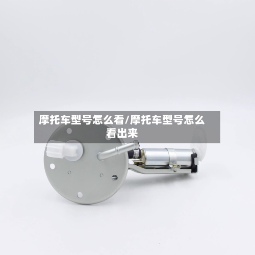 摩托车型号怎么看/摩托车型号怎么看出来