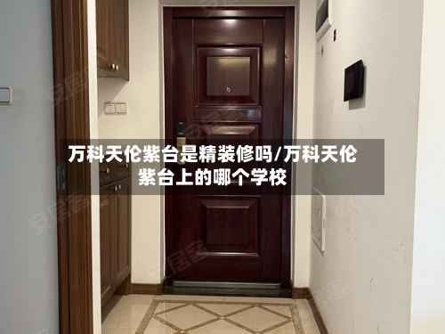 万科天伦紫台是精装修吗/万科天伦紫台上的哪个学校