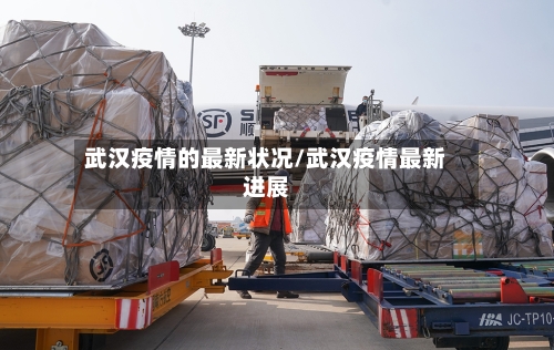 武汉疫情的最新状况/武汉疫情最新进展