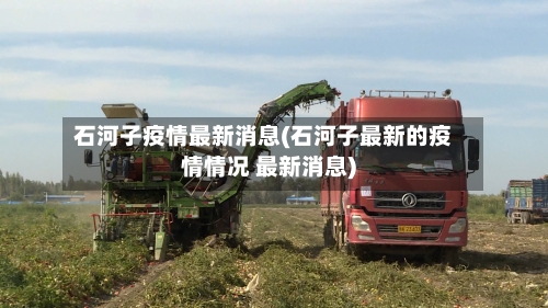 石河子疫情最新消息(石河子最新的疫情情况 最新消息)