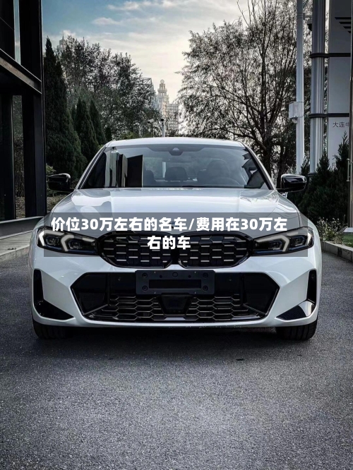 价位30万左右的名车/费用在30万左右的车-第2张图片