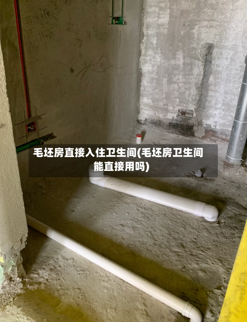 毛坯房直接入住卫生间(毛坯房卫生间能直接用吗)-第2张图片