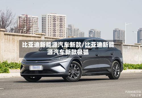 比亚迪新能源汽车新款/比亚迪新能源汽车新款极狐-第1张图片