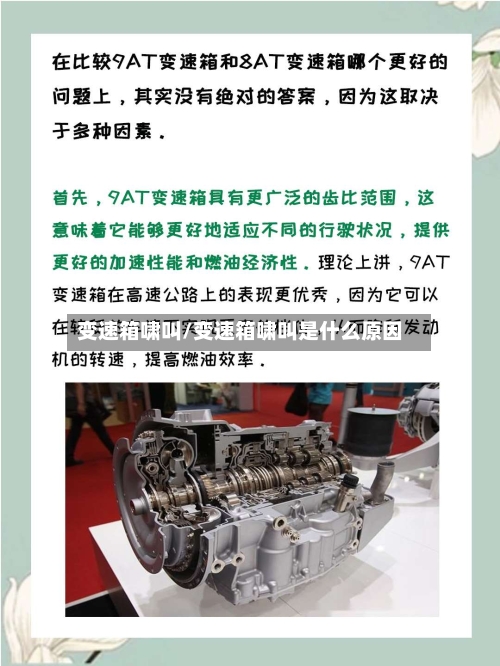 变速箱啸叫/变速箱啸叫是什么原因