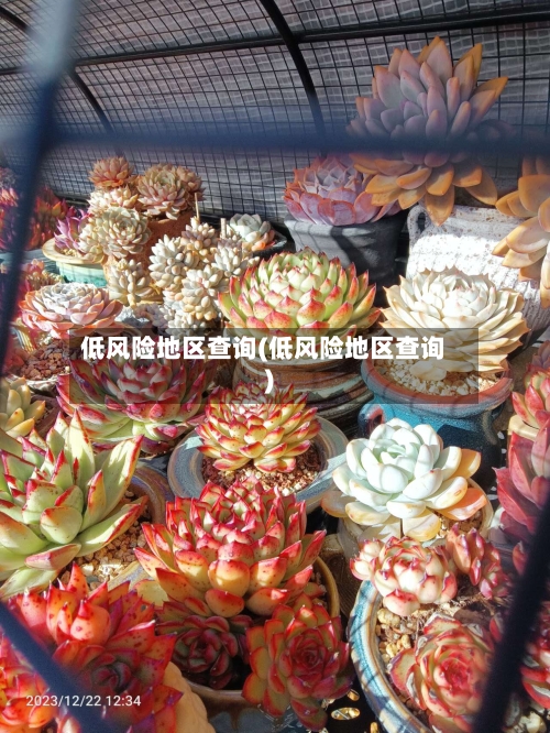 低风险地区查询(低风险地区查询)-第2张图片