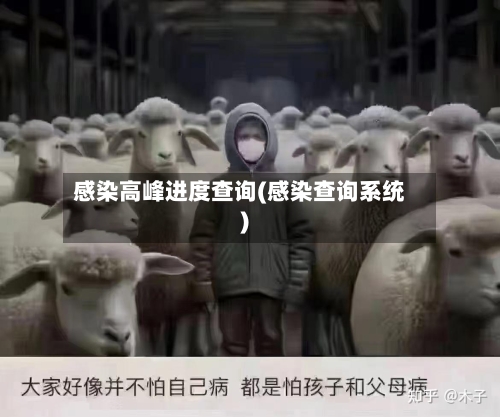 感染高峰进度查询(感染查询系统)