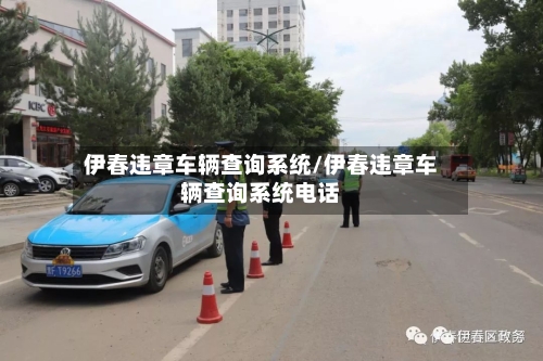伊春违章车辆查询系统/伊春违章车辆查询系统电话-第3张图片