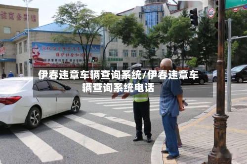 伊春违章车辆查询系统/伊春违章车辆查询系统电话-第2张图片