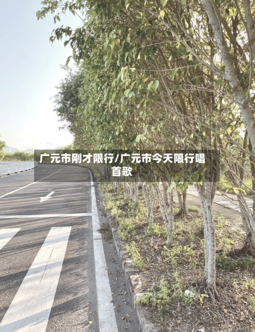 广元市刚才限行/广元市今天限行唱首歌-第2张图片