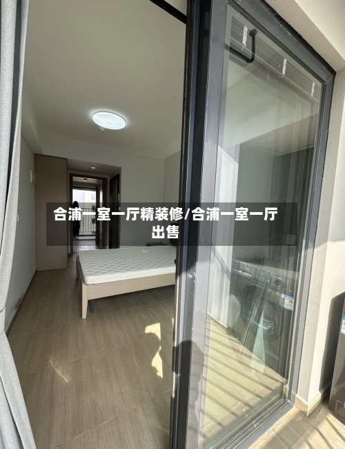 合浦一室一厅精装修/合浦一室一厅出售