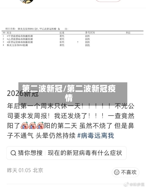 第二波新冠/第二波新冠疫情-第3张图片