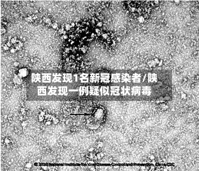 陕西发现1名新冠感染者/陕西发现一例疑似冠状病毒-第3张图片