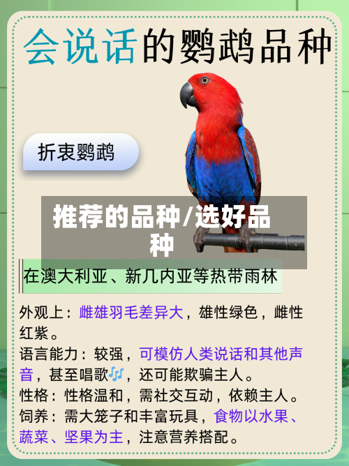 推荐的品种/选好品种