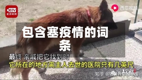 包含塞疫情的词条-第2张图片