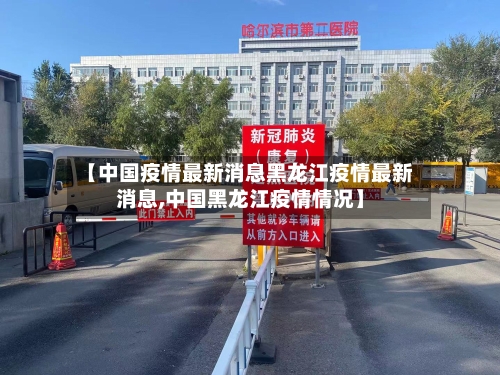 【中国疫情最新消息黑龙江疫情最新消息,中国黑龙江疫情情况】-第2张图片
