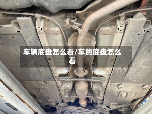 车辆底盘怎么看/车的底盘怎么看