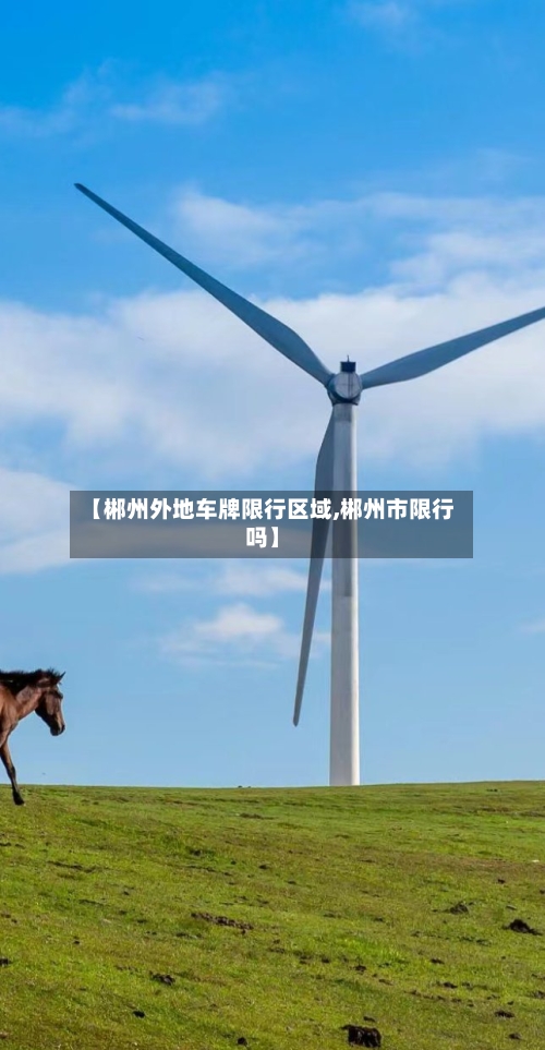 【郴州外地车牌限行区域,郴州市限行吗】-第3张图片