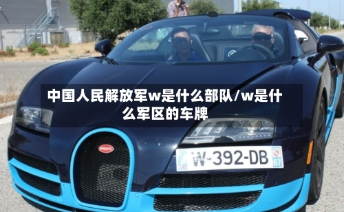 中国人民解放军w是什么部队/w是什么军区的车牌