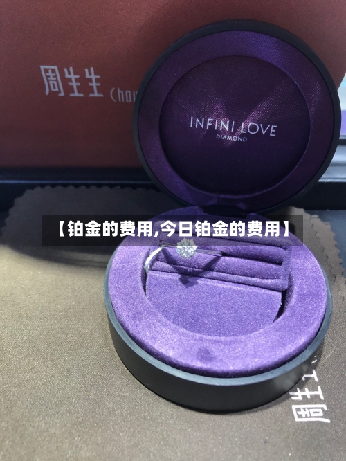 【铂金的费用,今日铂金的费用】-第2张图片