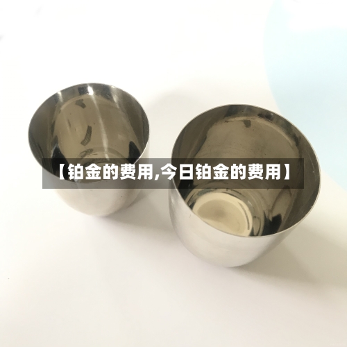 【铂金的费用,今日铂金的费用】