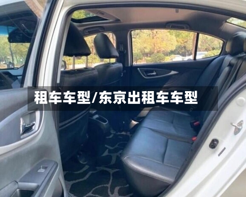 租车车型/东京出租车车型-第2张图片