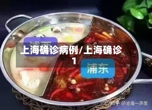上海确诊病例/上海确诊1-第2张图片