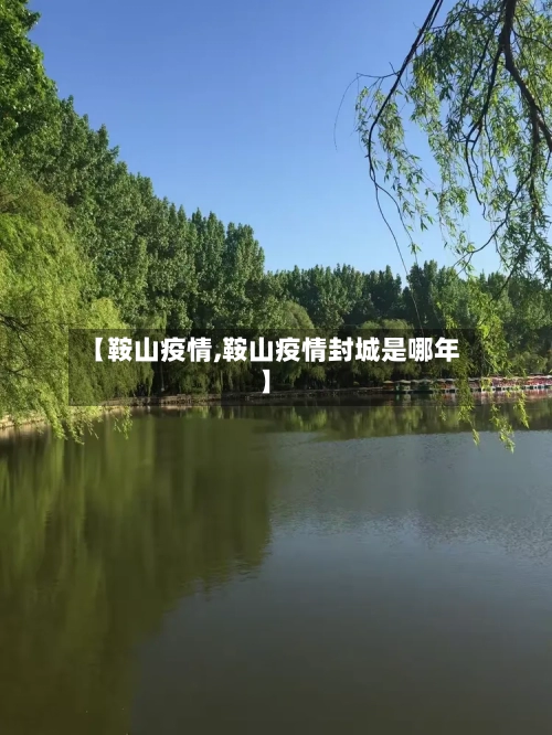 【鞍山疫情,鞍山疫情封城是哪年】-第2张图片