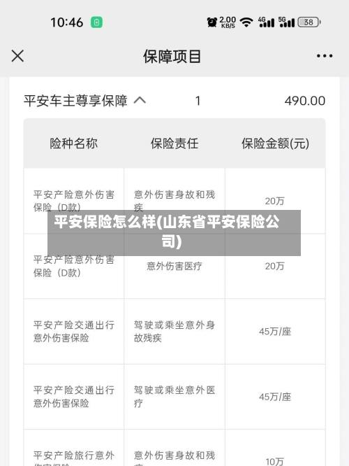平安保险怎么样(山东省平安保险公司)