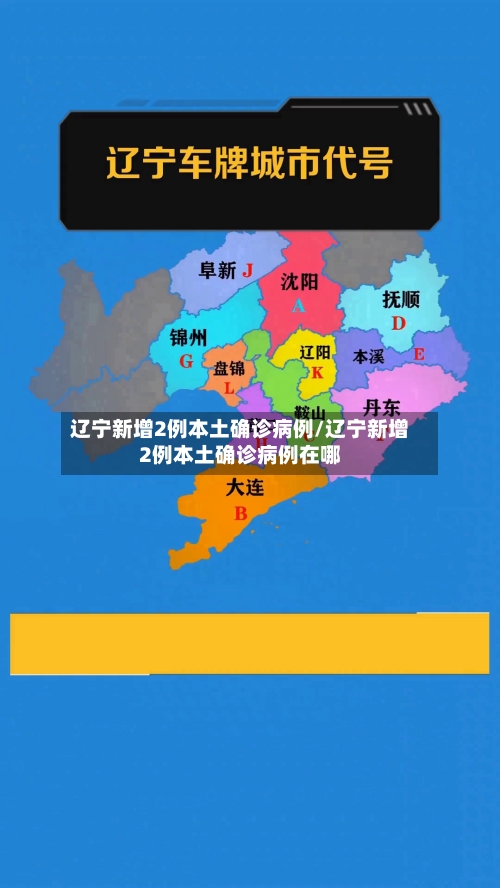 辽宁新增2例本土确诊病例/辽宁新增2例本土确诊病例在哪-第2张图片