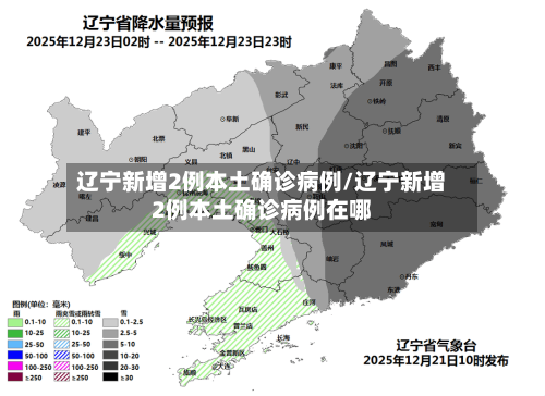 辽宁新增2例本土确诊病例/辽宁新增2例本土确诊病例在哪
